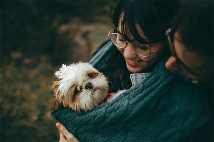 Comment donner un comprimé à son chien facilement ? 5 astuces efficaces